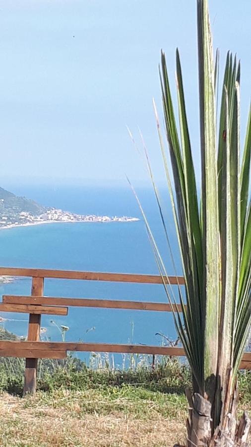 Tenuta Belvedere Cilento Монтекориче Экстерьер фото